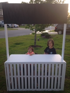 #1 and #2 with the finished lemonade stand!